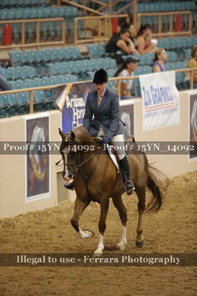 Proof Number 15YN_14092