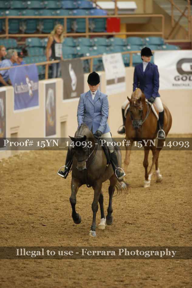 Proof Number 15YN_14093