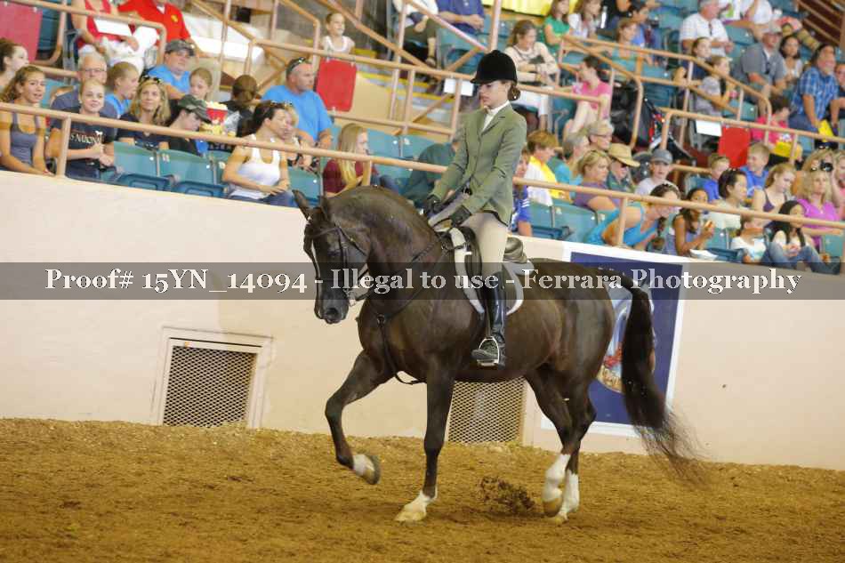 Proof Number 15YN_14094