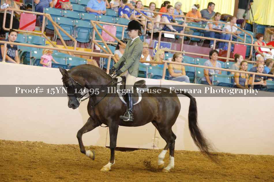 Proof Number 15YN_14095
