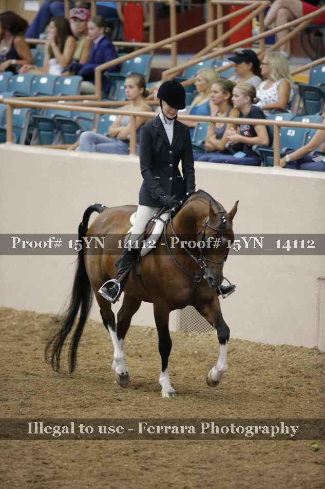 Proof Number 15YN_14112