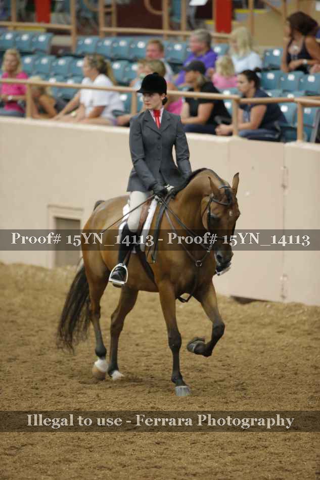 Proof Number 15YN_14113