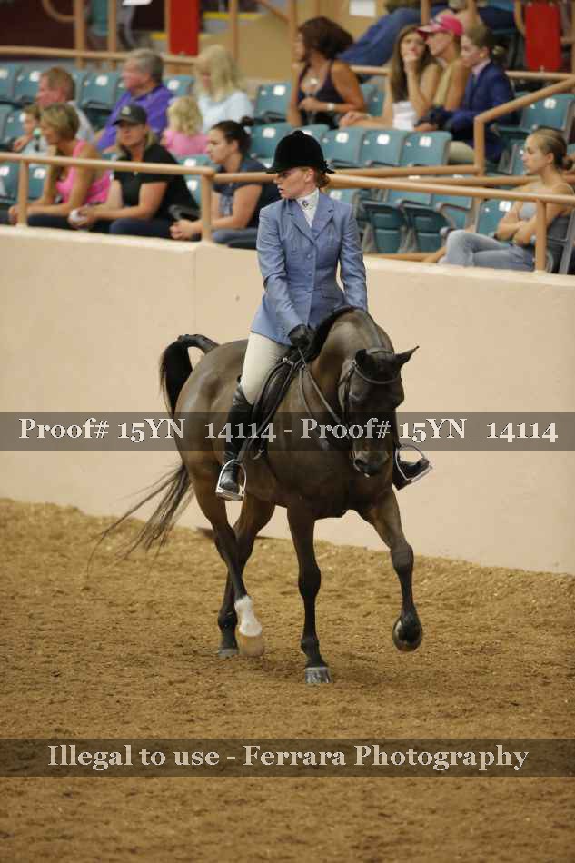 Proof Number 15YN_14114