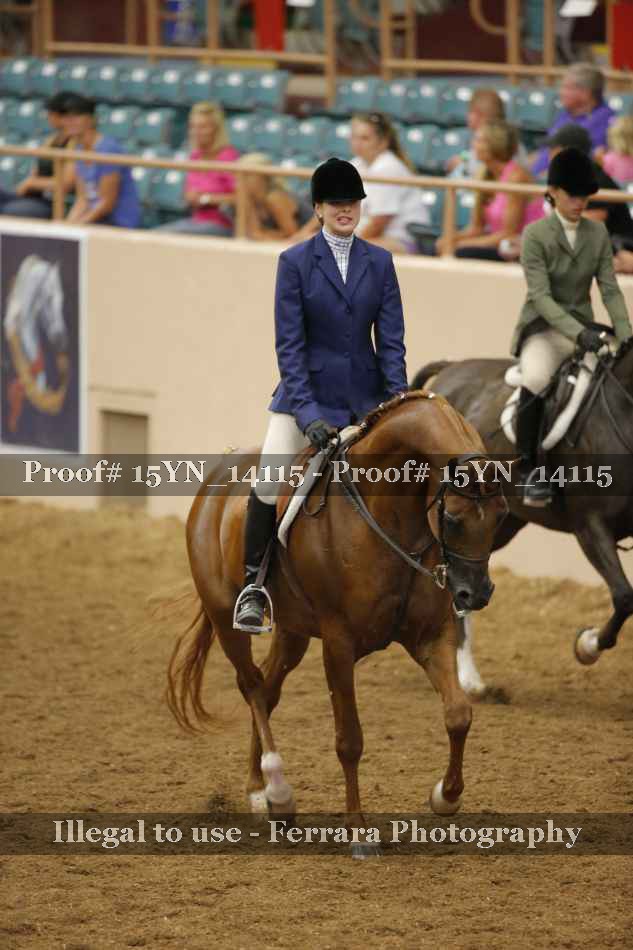 Proof Number 15YN_14115
