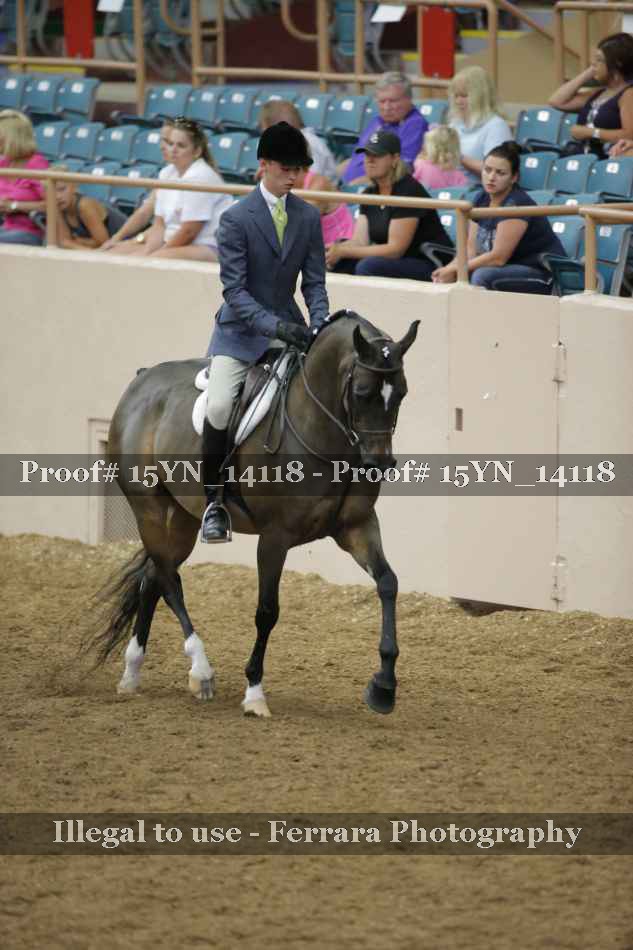 Proof Number 15YN_14118