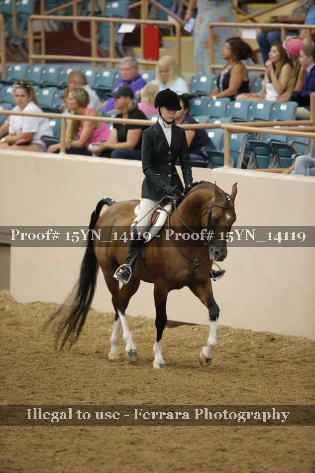 Proof Number 15YN_14119