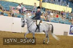 15YN_25463 thumbnail