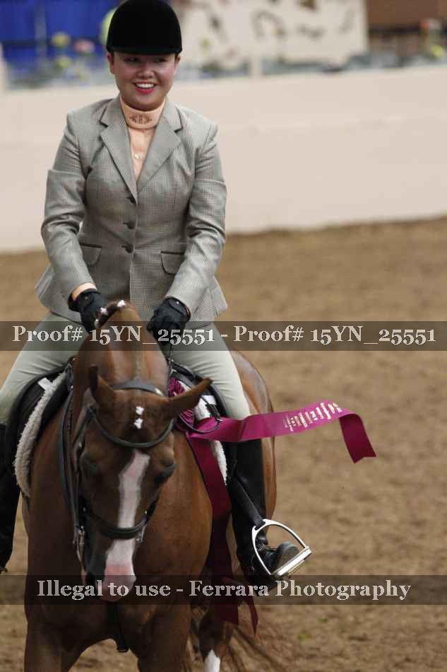 Proof Number 15YN_25551