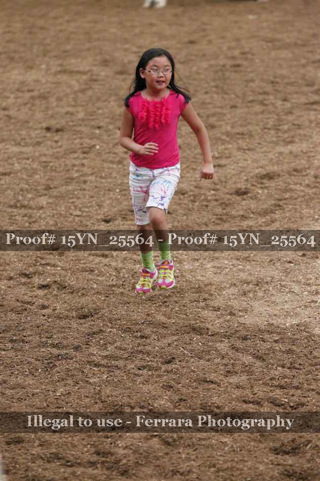 Proof Number 15YN_25564