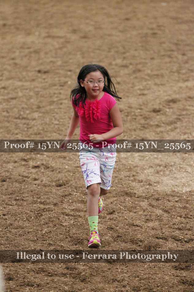 Proof Number 15YN_25565