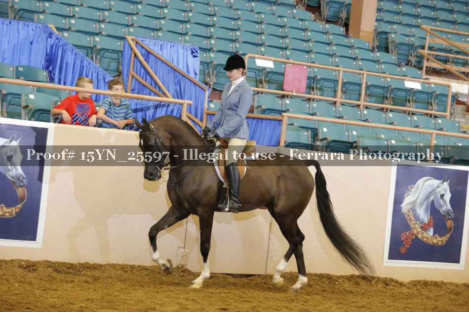 Proof Number 15YN_25597