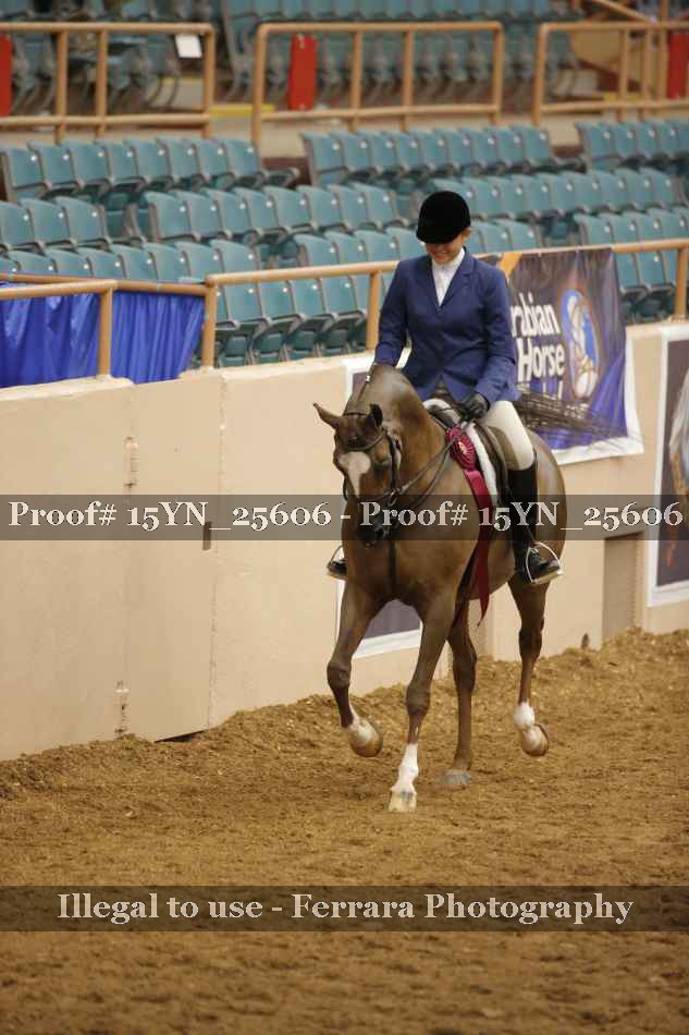 Proof Number 15YN_25606
