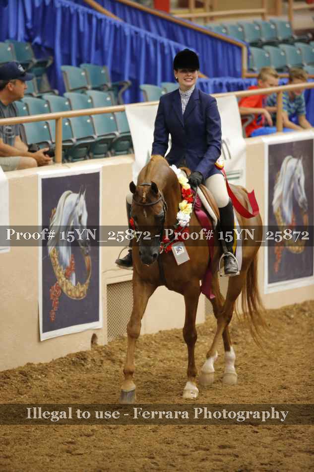 Proof Number 15YN_25872