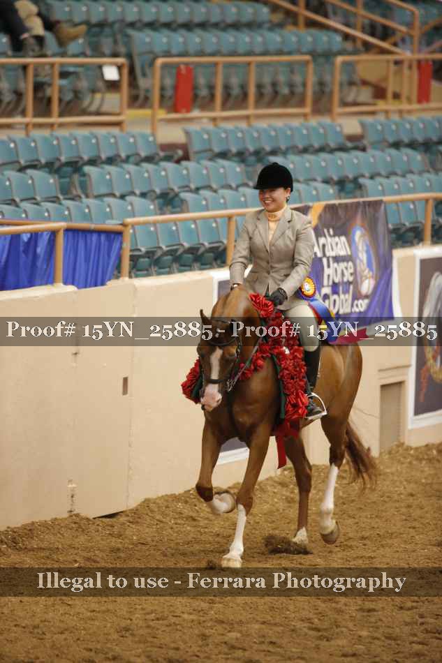 Proof Number 15YN_25885