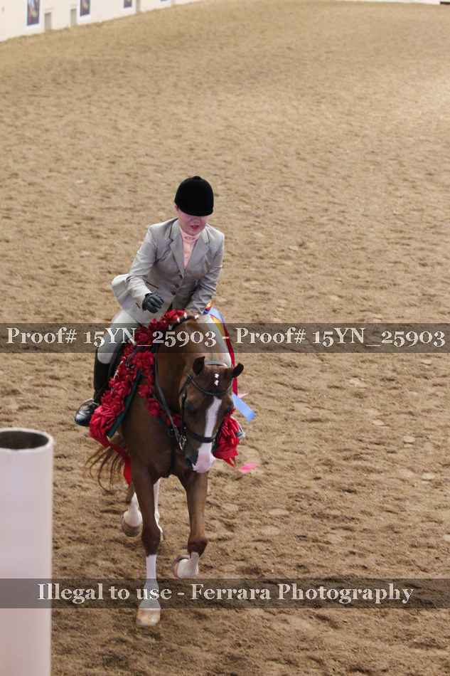 Proof Number 15YN_25903