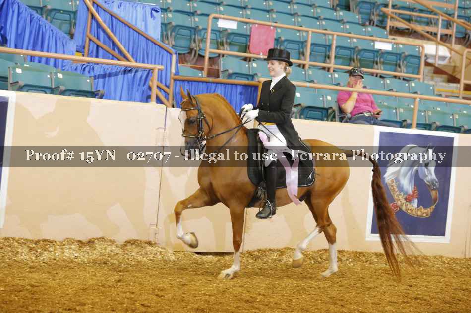 Proof Number 15YN_02707