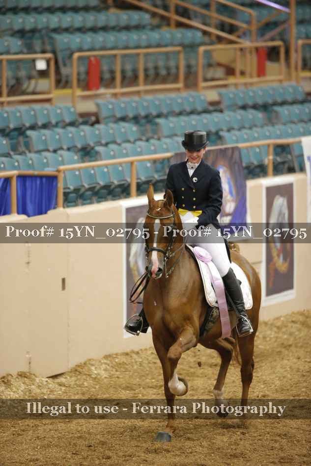 Proof Number 15YN_02795