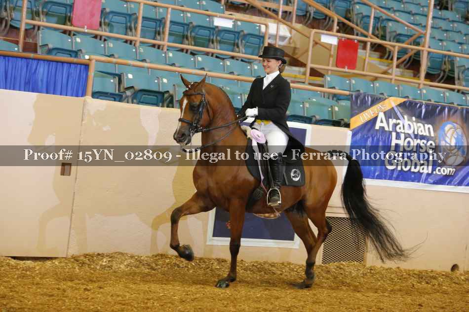 Proof Number 15YN_02809