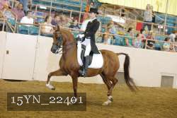 15YN_22401 thumbnail