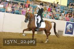 15YN_22409 thumbnail