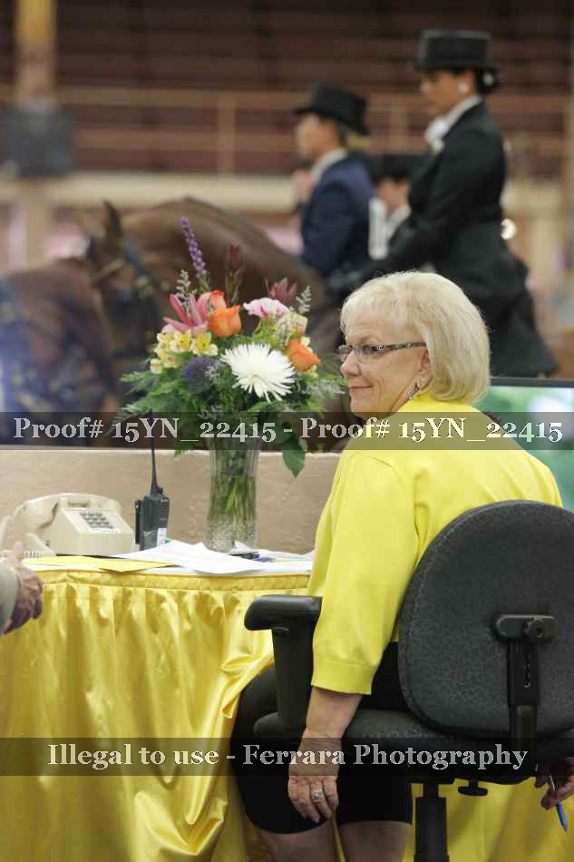 Proof Number 15YN_22415