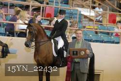 15YN_22432 thumbnail