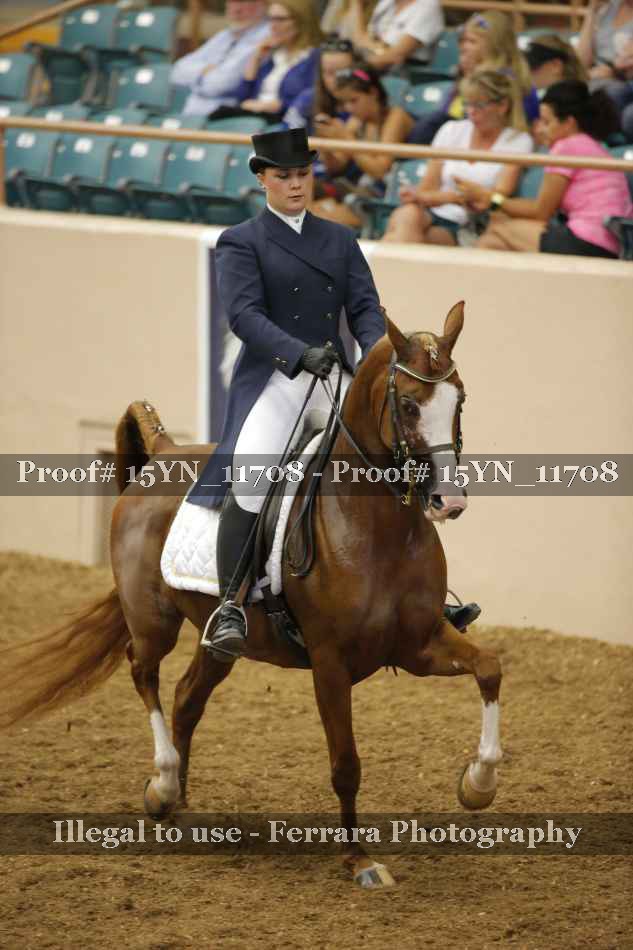 Proof Number 15YN_11708