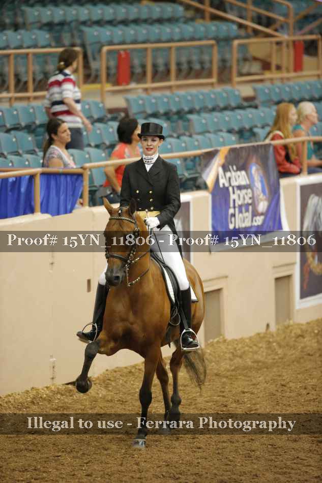 Proof Number 15YN_11806