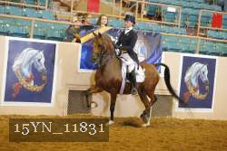 15YN_11831 thumbnail