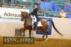 15YN_11832 thumbnail