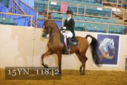 15YN_11842 thumbnail