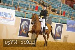 15YN_11844 thumbnail