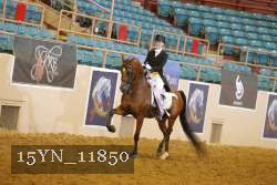 15YN_11850 thumbnail