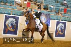 15YN_11852 thumbnail