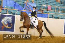 15YN_11853 thumbnail
