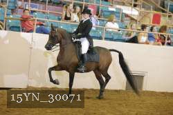15YN_30071 thumbnail