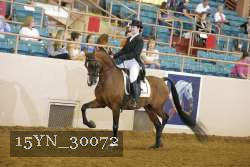15YN_30072 thumbnail