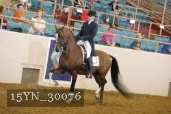 15YN_30076 thumbnail