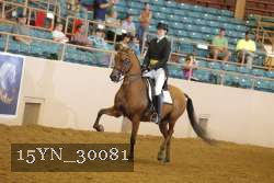15YN_30081 thumbnail