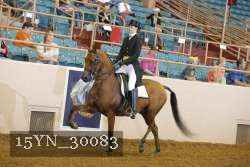 15YN_30083 thumbnail