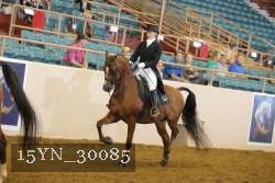 15YN_30085 thumbnail