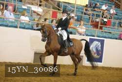15YN_30086 thumbnail