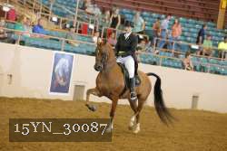 15YN_30087 thumbnail
