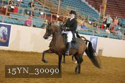 15YN_30090 thumbnail