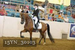 15YN_30103 thumbnail