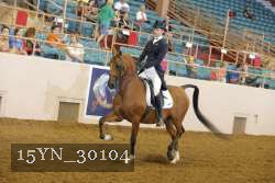 15YN_30104 thumbnail