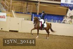 15YN_30144 thumbnail