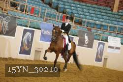 15YN_30210 thumbnail