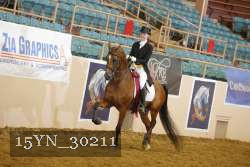 15YN_30211 thumbnail