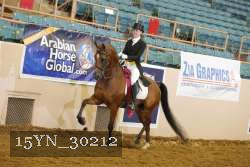 15YN_30212 thumbnail